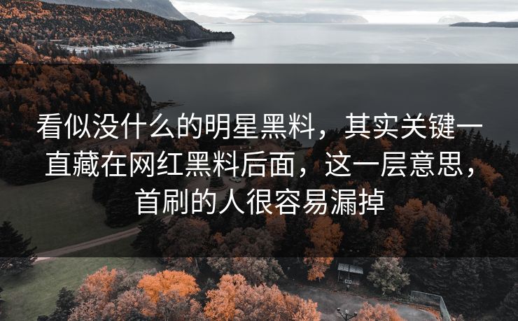 看似没什么的明星黑料，其实关键一直藏在网红黑料后面，这一层意思，首刷的人很容易漏掉