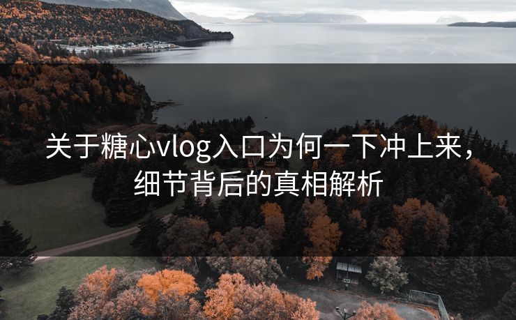 关于糖心vlog入口为何一下冲上来，细节背后的真相解析  第1张