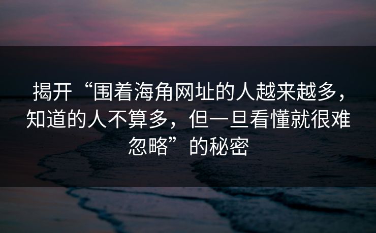 揭开“围着海角网址的人越来越多，知道的人不算多，但一旦看懂就很难忽略”的秘密  第1张